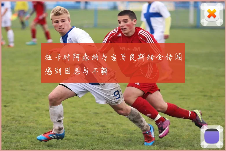 纽卡对阿森纳与吉马良斯转会传闻感到困惑与不解